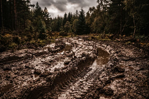 Mud Tires